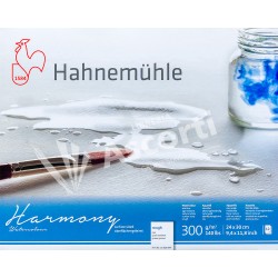 Block Hahnemühle Harmony Watercolour 24x30cm 12h